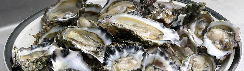 Brittany Seafood Showcase at Launay's Restaurant